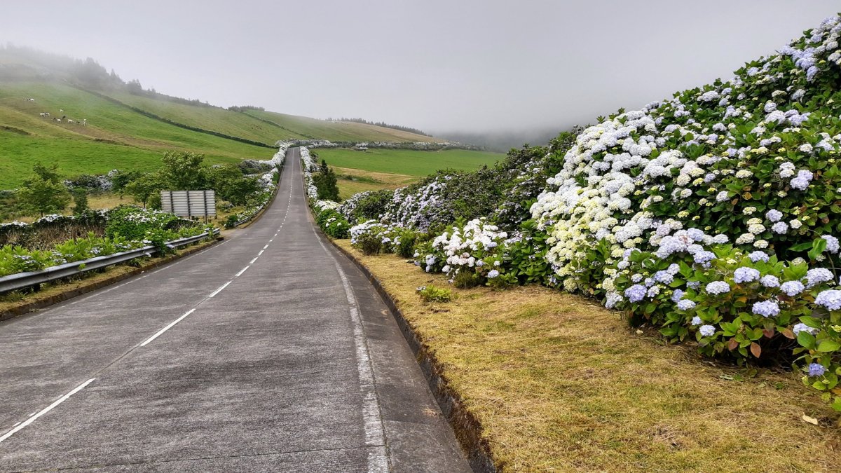 Typický obrázek z vnitrozemí
