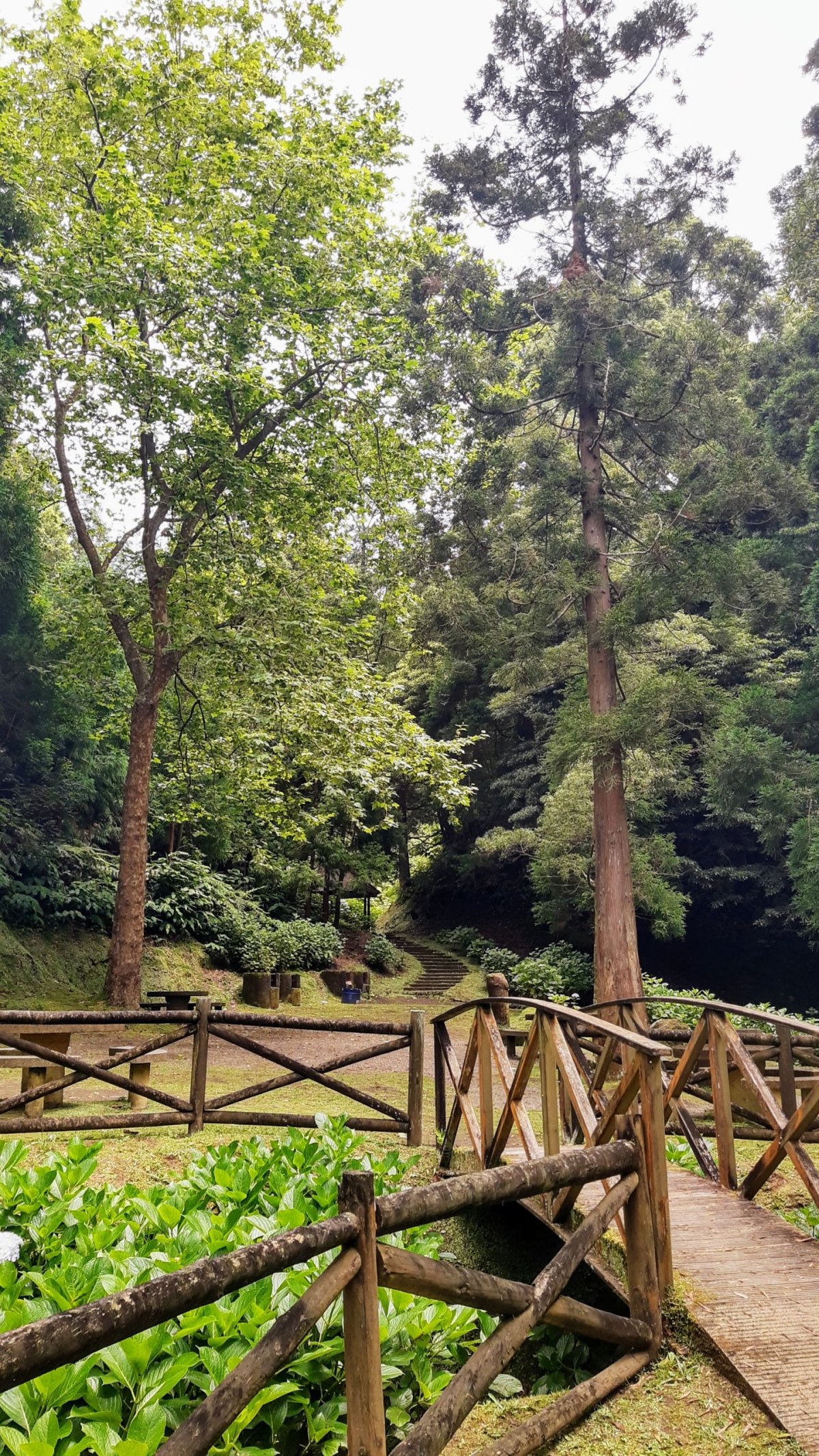 Typické "pařeniště"