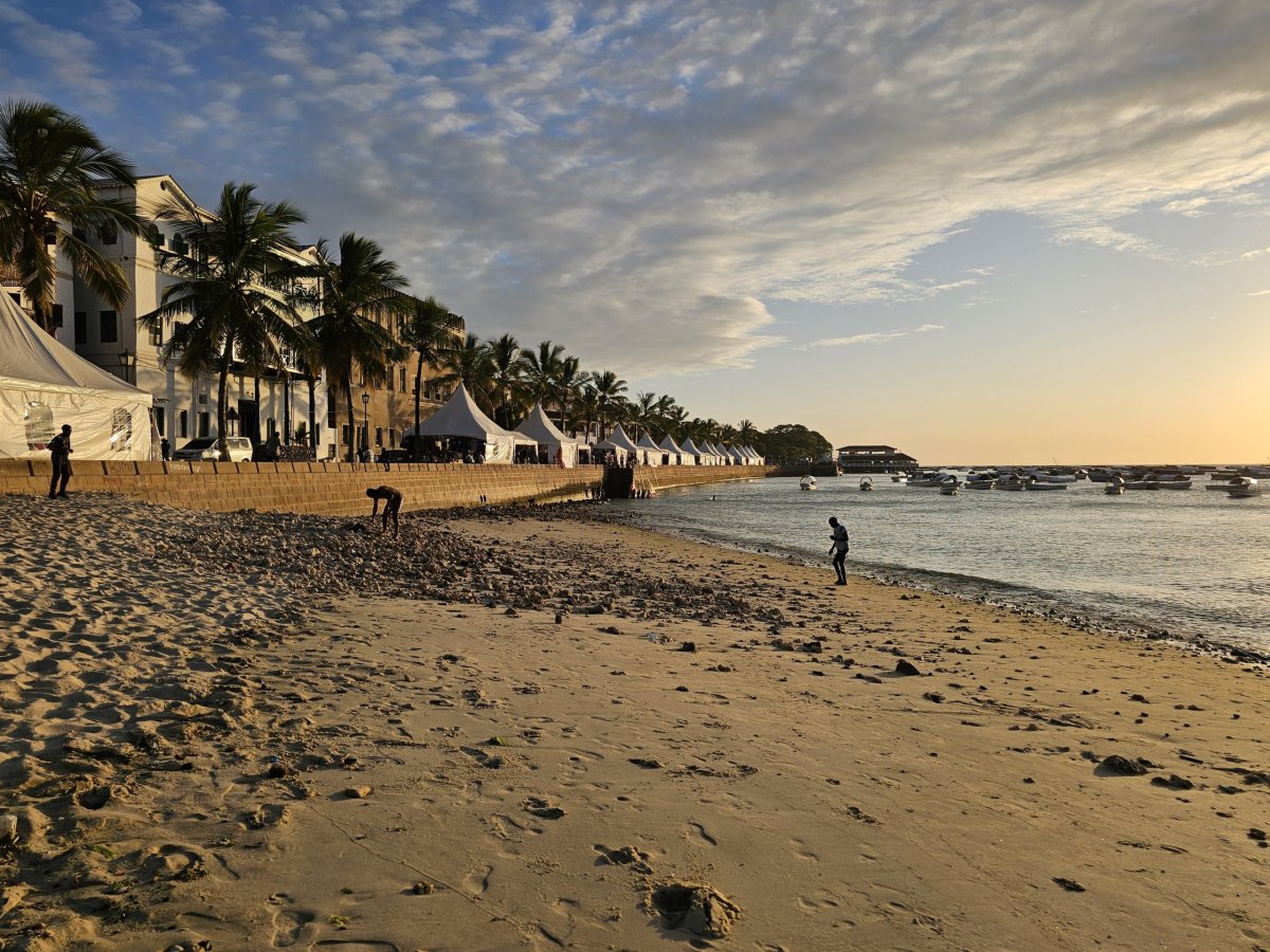 Pláž u promenády Forodhani