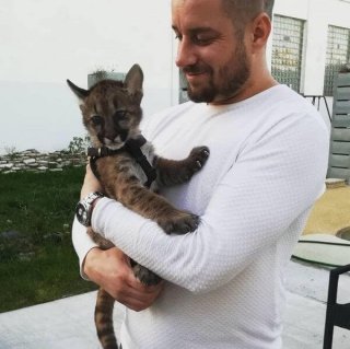 Avatar uživatele