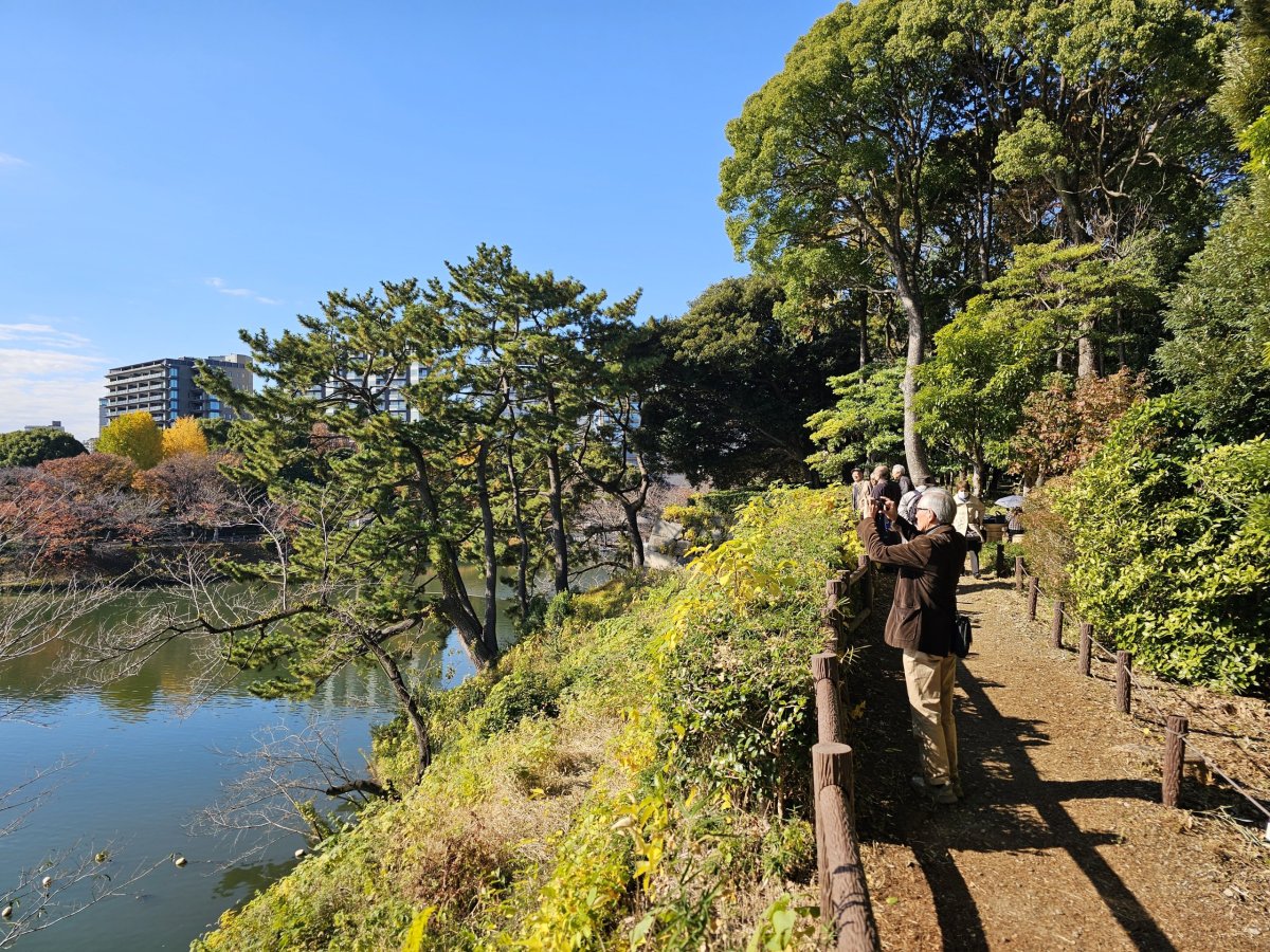 Kitanomaru Park