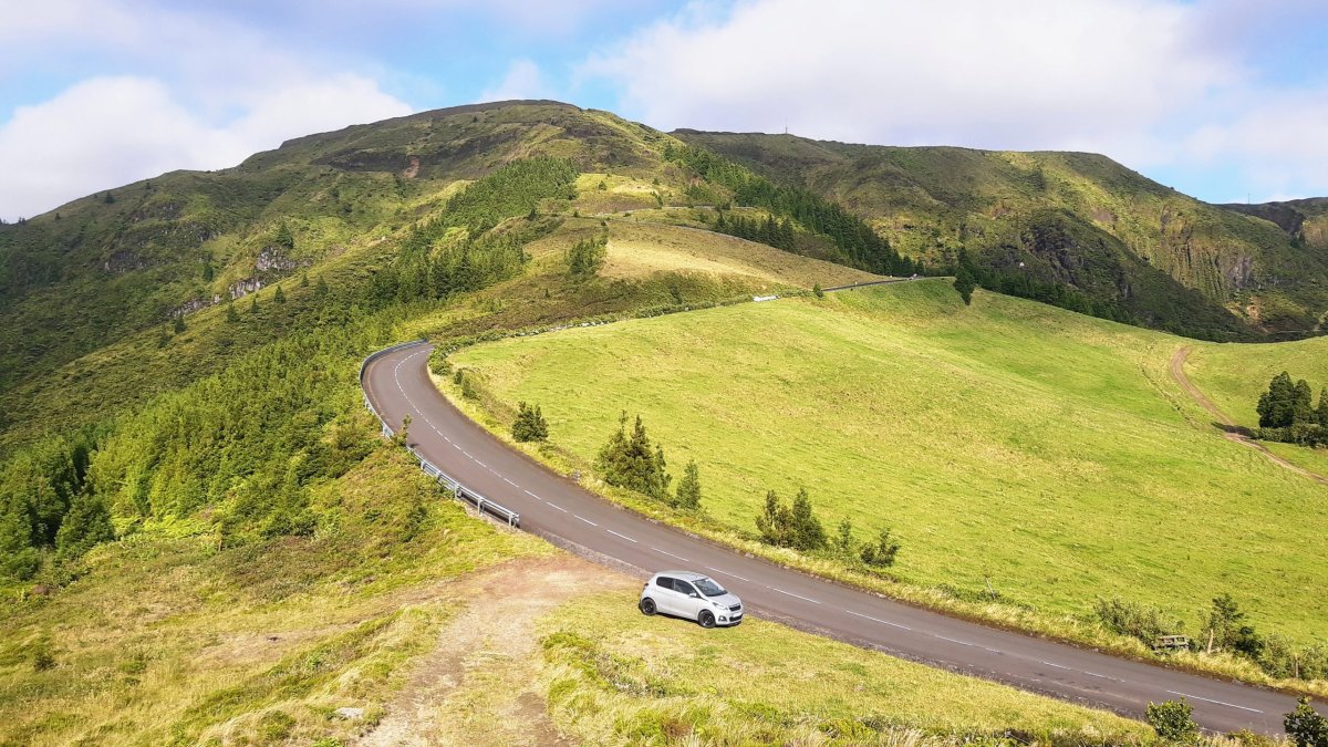 50 odstínů zelené