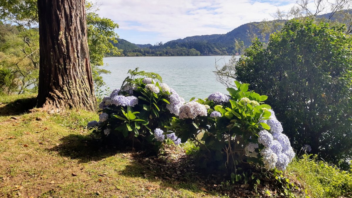 Lagoa dos Furnas