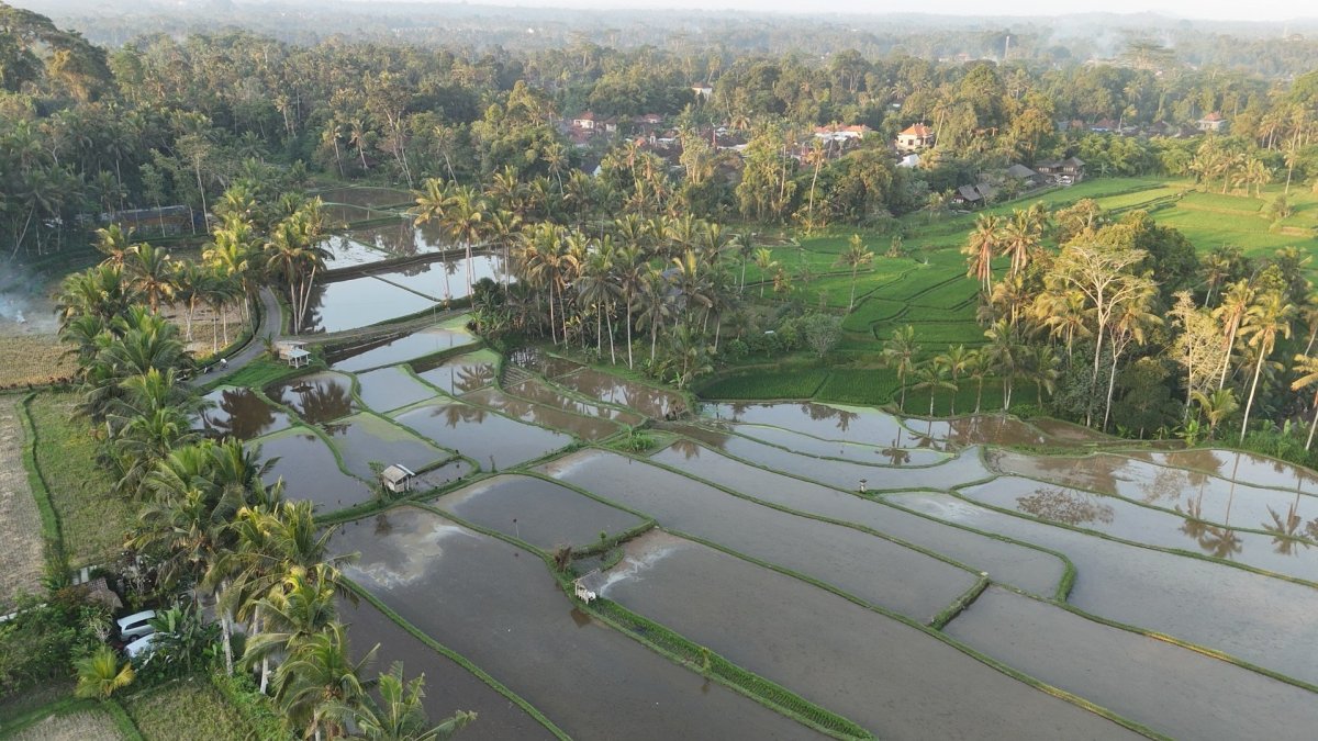 okolí Ubudu