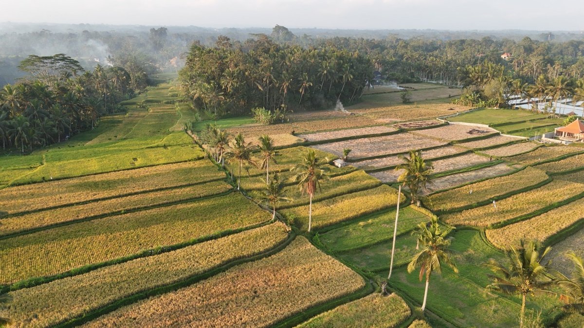 okolí Ubudu