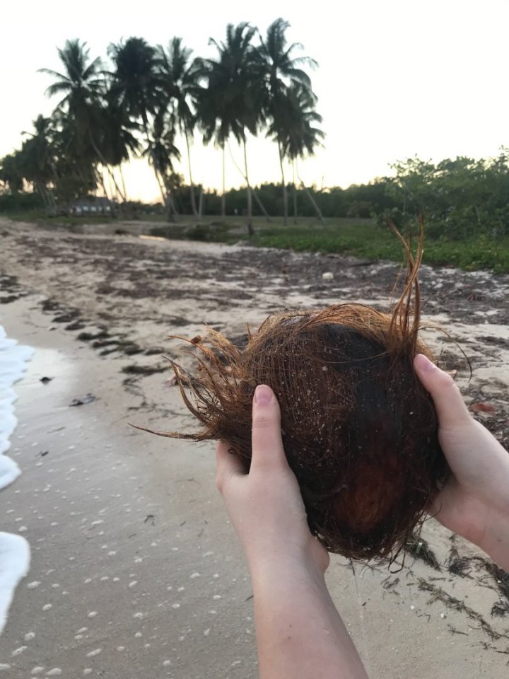 Kam jinam by mohly vést moje první kroky, než na pláž? Ten den také zjišťujeme jednu zajímavou a několik nepříjemných věcí. Za z