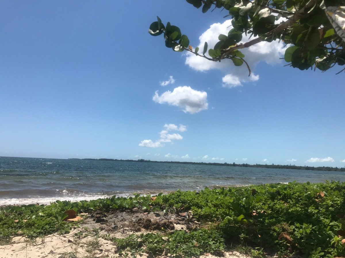 Další autobus z Playa Larga nám odjíždí o 3 dny později, než jsme původně plánovali. Z našeho itineráře tedy vyškrtáváme Cayo Co