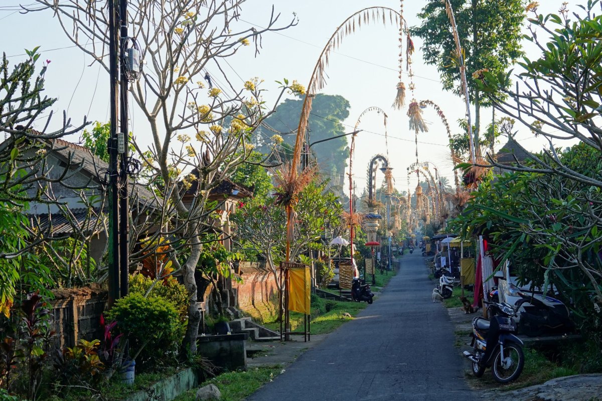 penjory kolem silnic