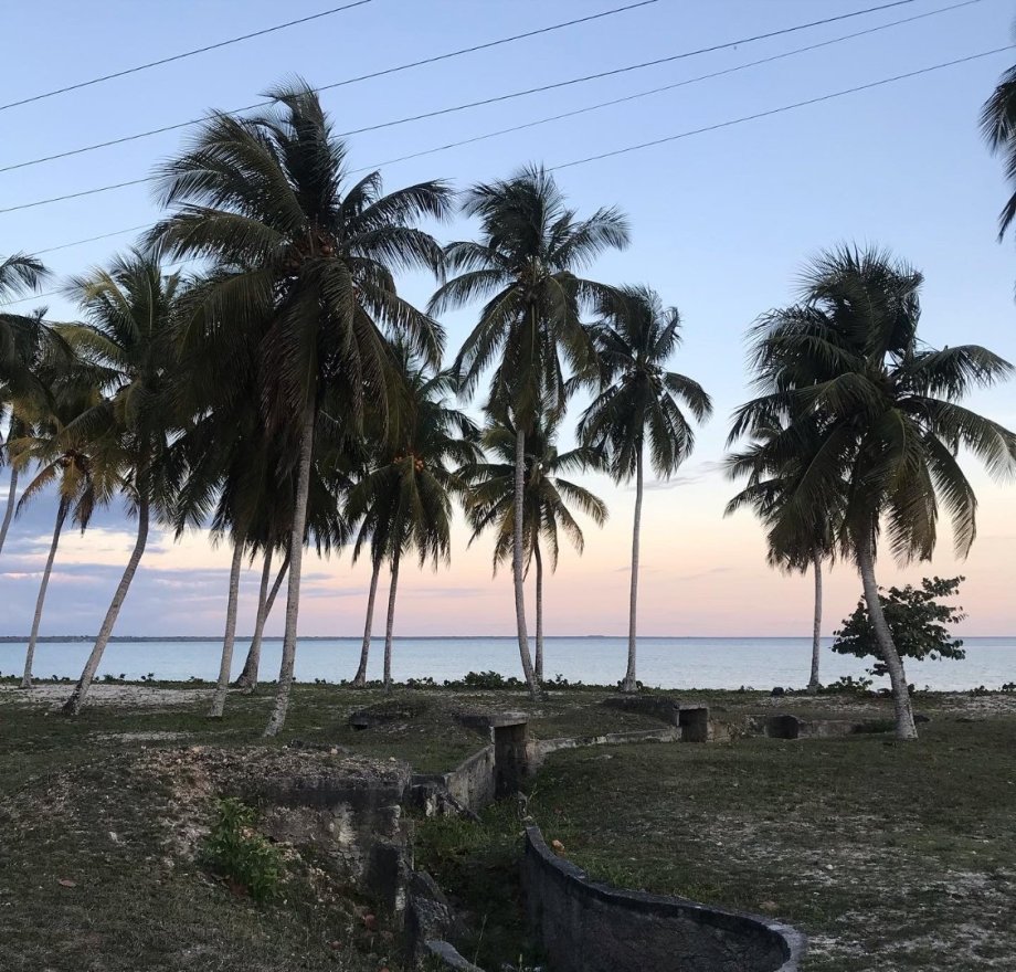 Opevnění rozhodně není to, co bych na pláži zrovna očekávala, ale tady v Zátoce sviní to není nic neobvyklého.