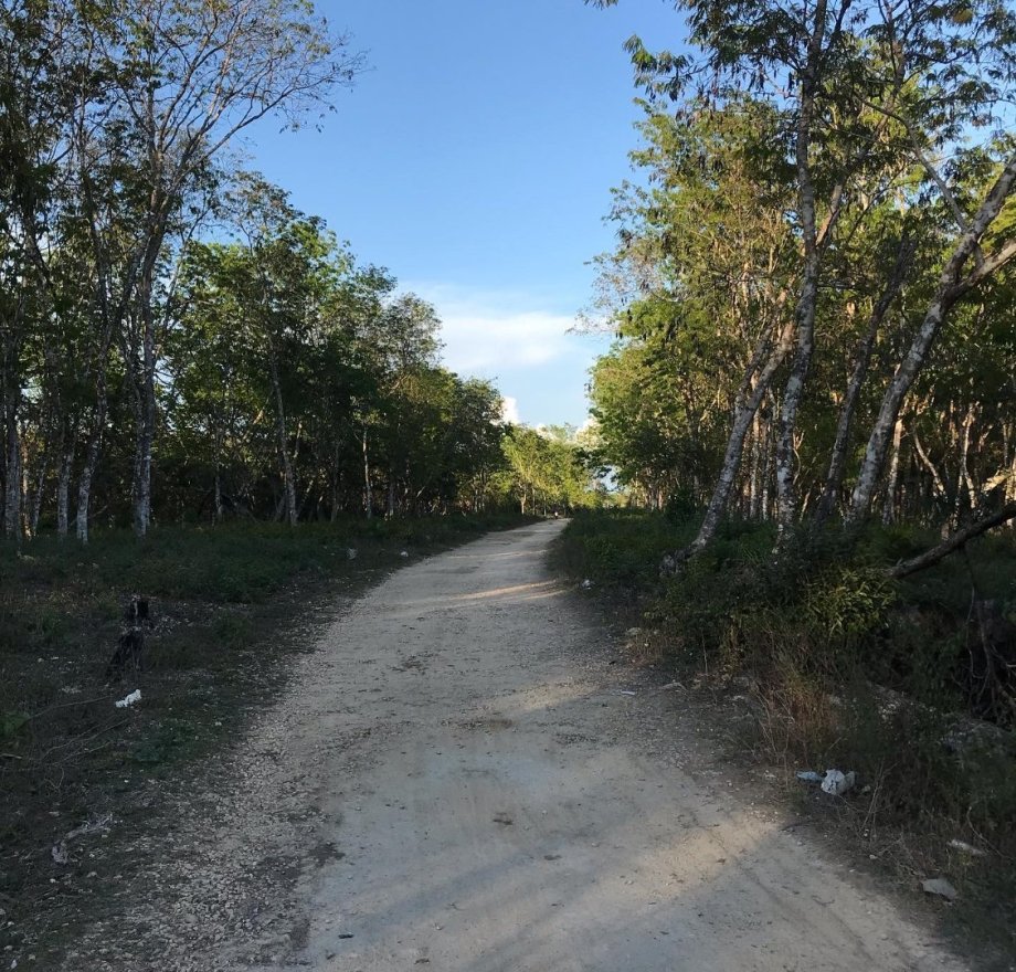 Sotva jsme si vyšli na procházku mimo hlavní turistickou oblast (a tahle byla hned za vesnicí), místní nás podezřívavě pozoroval