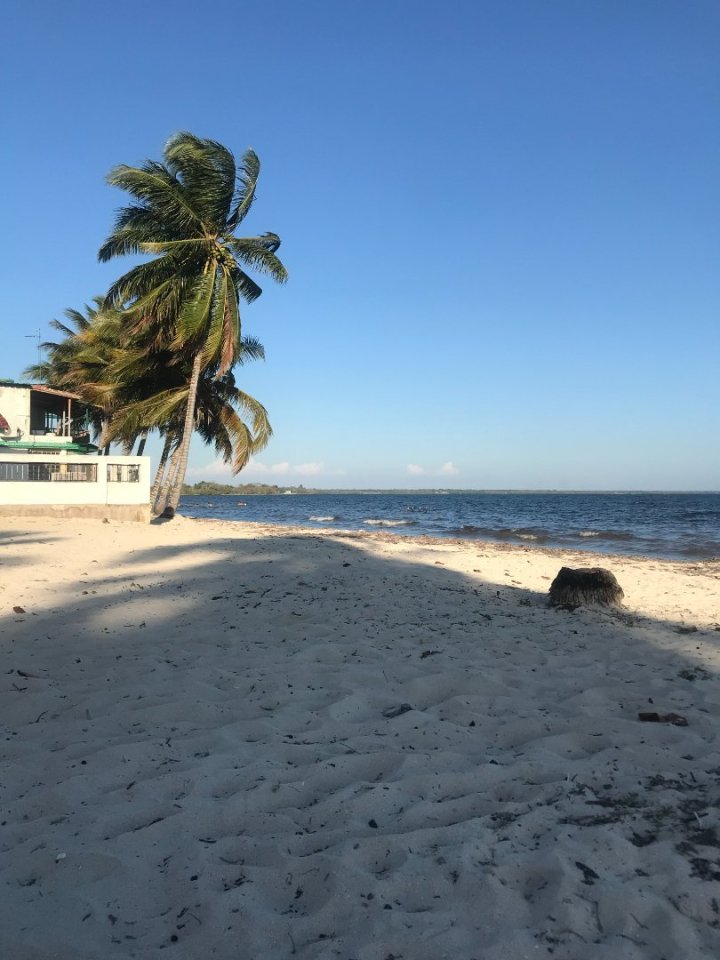 To si takhle sedíte na pláži a najednou se objeví borec s pytlem plným nějakých odpadků. To je samo o sobě docela nezvyklé, jedn