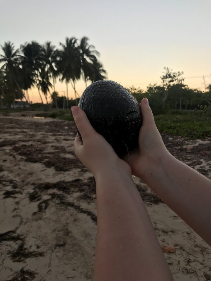 Dobře, už nechám ty kokosy na pokoji a vezmu vás raději do Trinidadu.