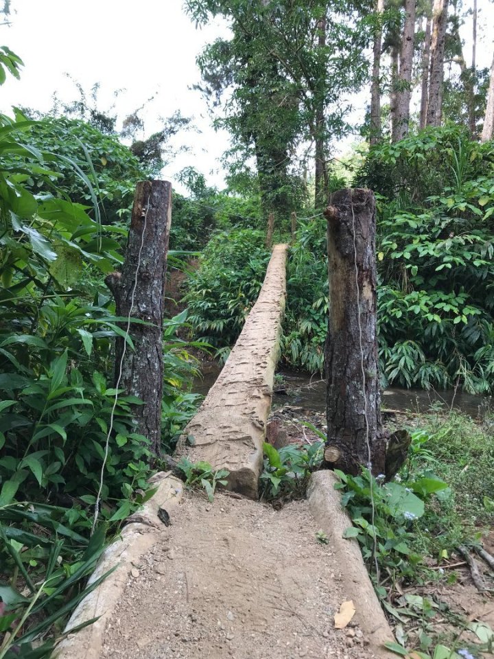 A v tu chvíli jsem už opravdu začala trochu plašit - kam to sakra jdeme?