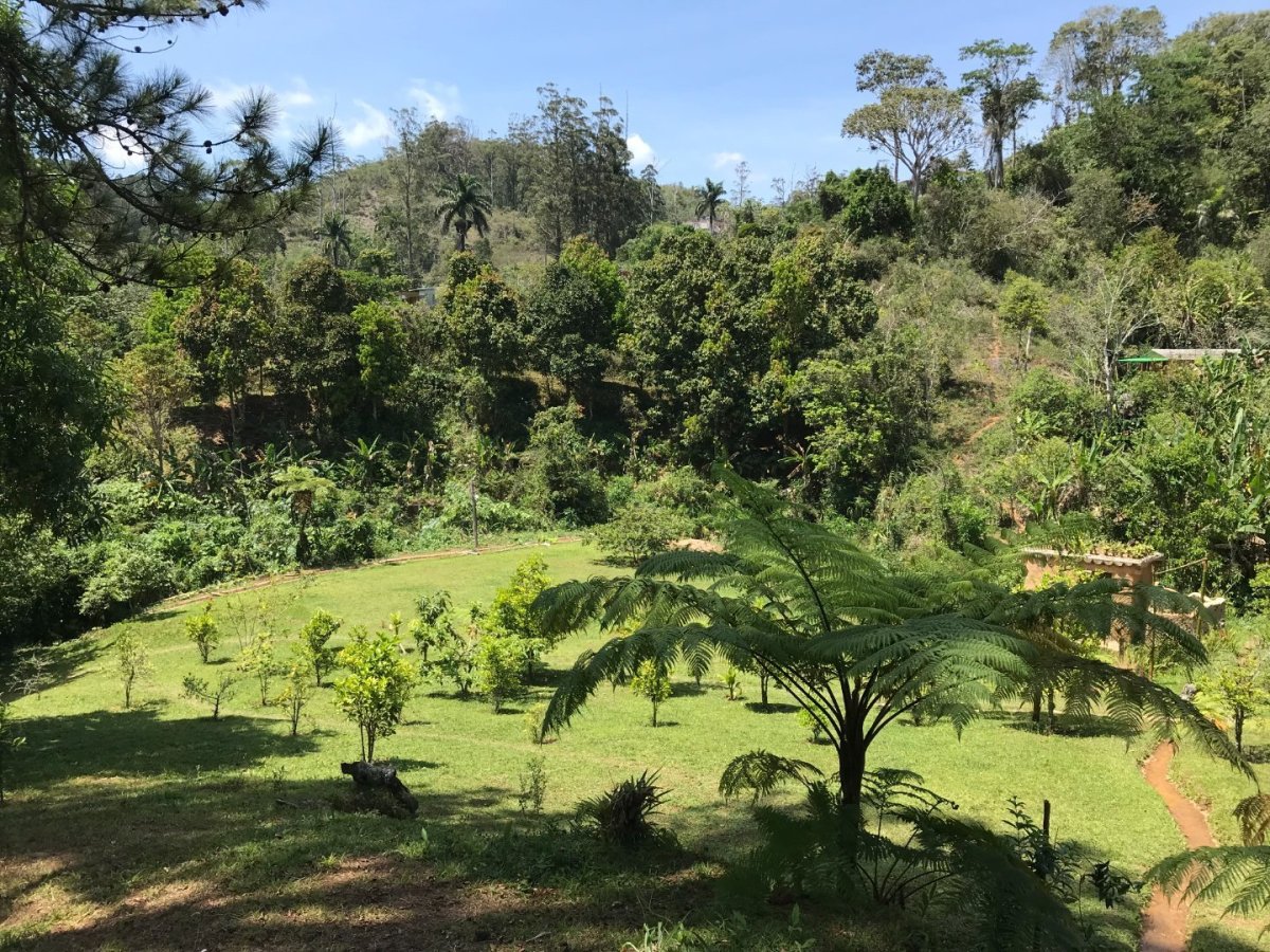 Rancho Bee Hole nás opravdu nezklamal. Je to malé a klidné místo ukryté v lese, kde je pouze obsluha a hosté. Téměř vše, co se n