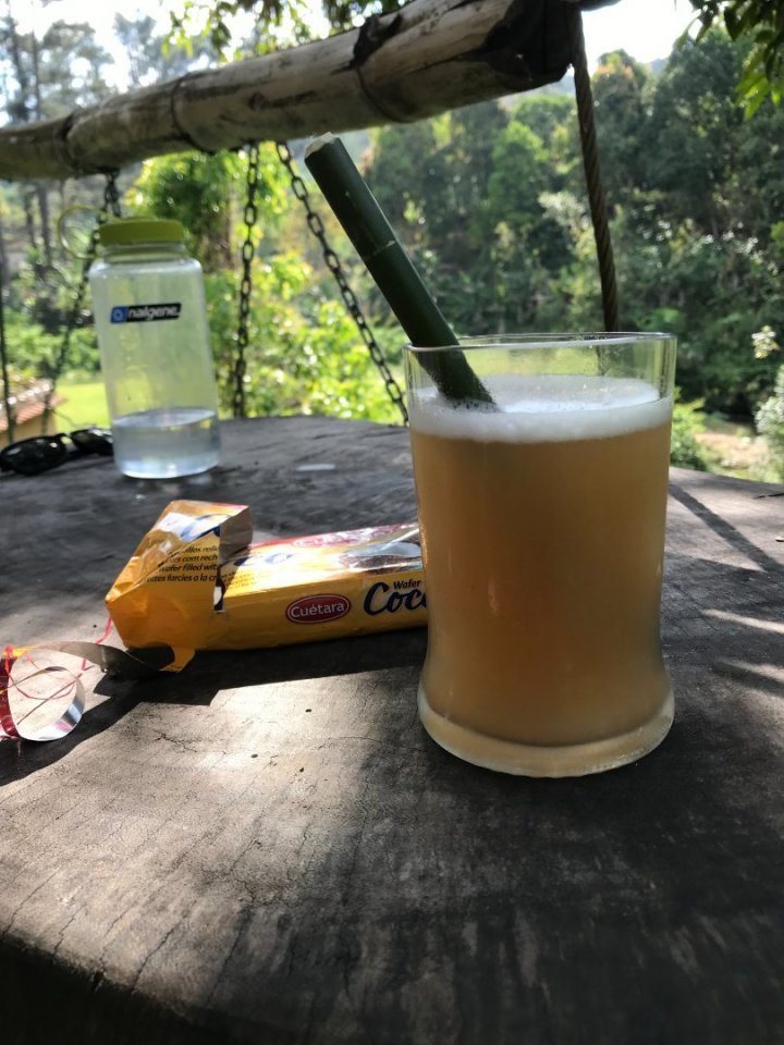 Náš návrat už netrpělivě vyhlížel celý uvítací výbor ve složení mladé slečny, která uměla anglicky jen ryba, kuřecí a vepřové a 