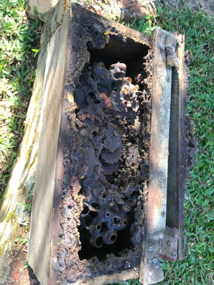 Některé restaurace na Kubě nemají menu. Zkrátka, na co si ukážete, co běhá a roste okolo, to budete mít. Nemusíte mít strach, že