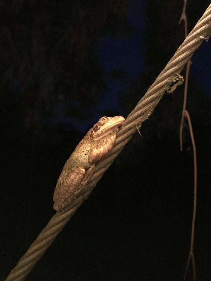 A teď už nechávám zvířátka být a zdlouhavým způsobem se přesuneme do Varadera.