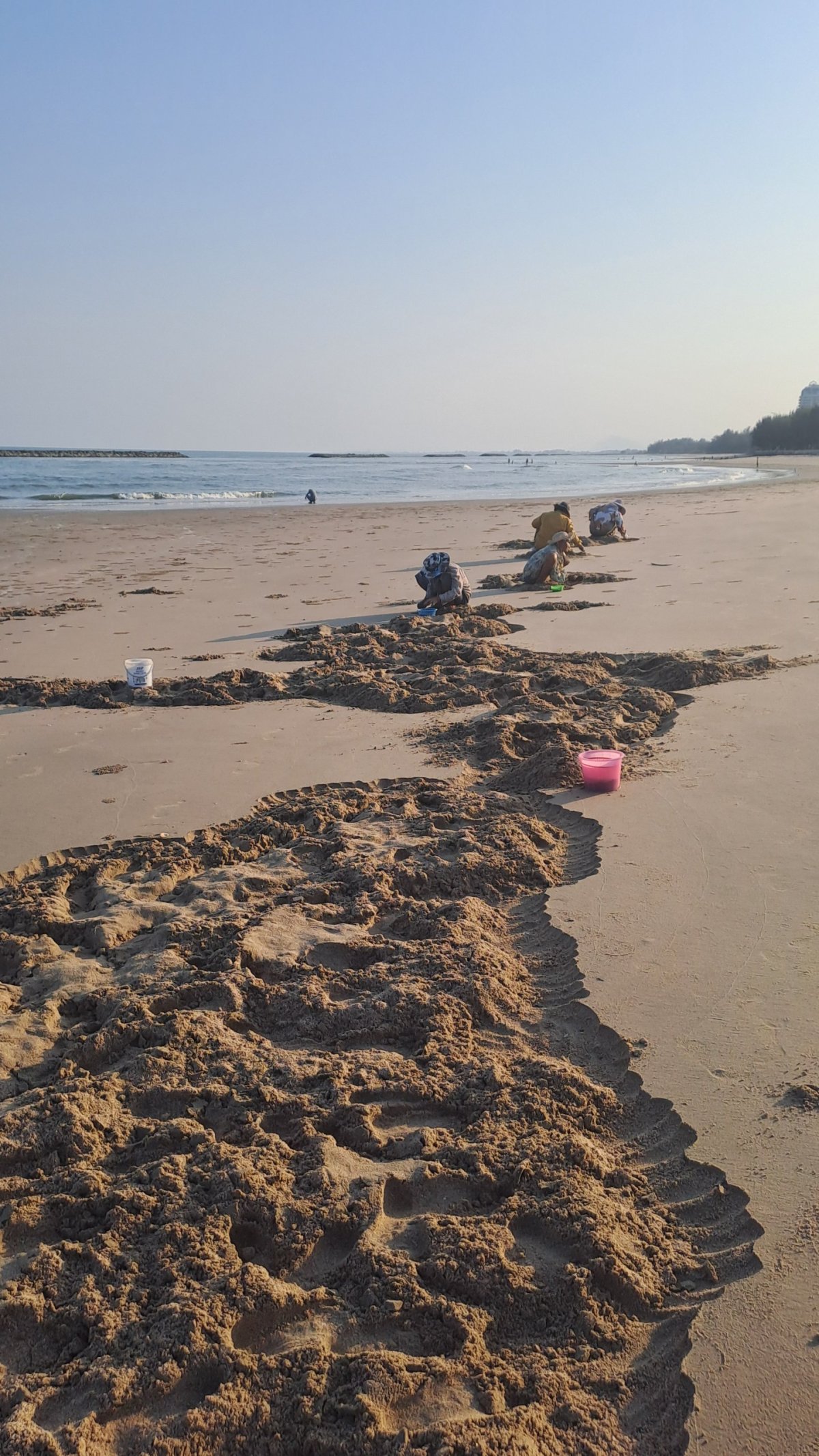 Místní na sběru mušlí