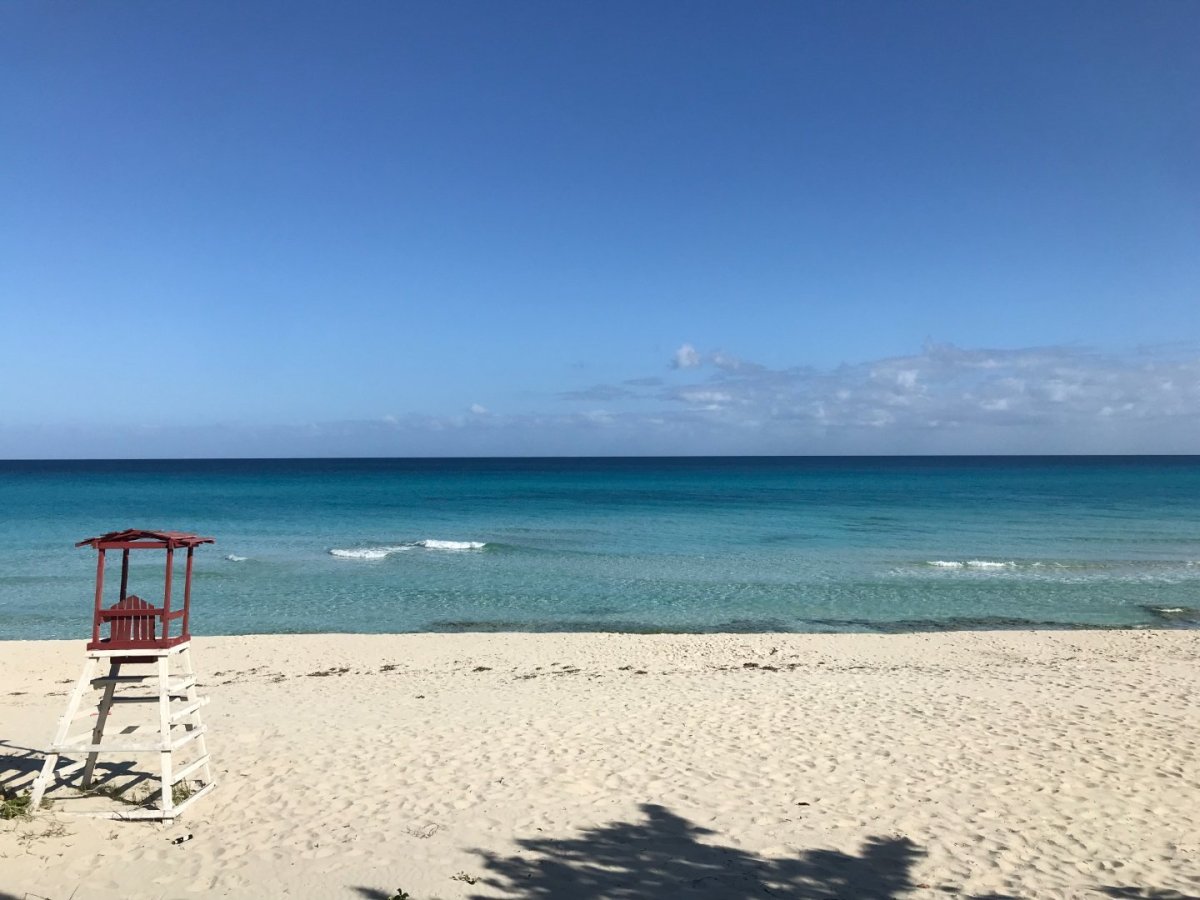 Jen bylo hrozné, že jsme odjížděli tak brzo. Už jsem si skoro začala zvykat na civilizaci, když jsme najednou byli na cestě do V