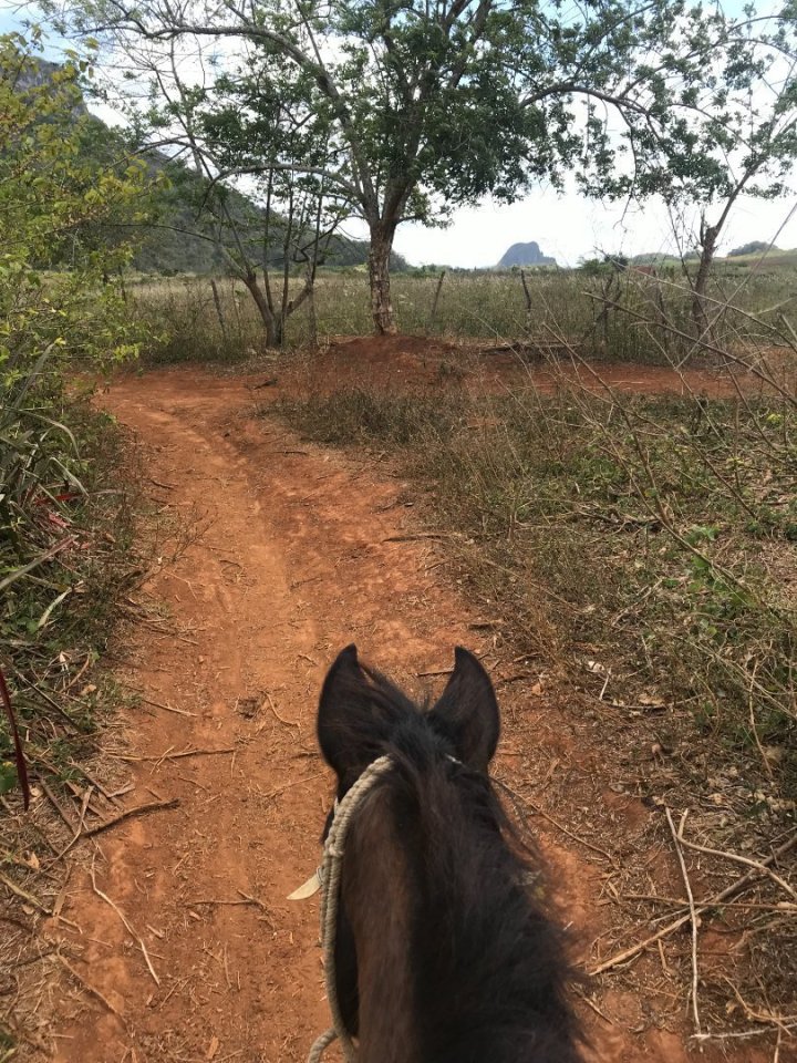 Co jsme ale odmítnout nemohli byla lákavá nabídka exkurze na tabákovou farmu jejího bratra. Za krásných 15 euro nás tam odvezli,