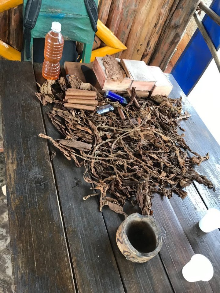 Umíte si představit, že máte rodinný byznys, každý rok sázíte a pak znovu rozsazujete sazeničky tabáku bez jakékoliv mechanizace