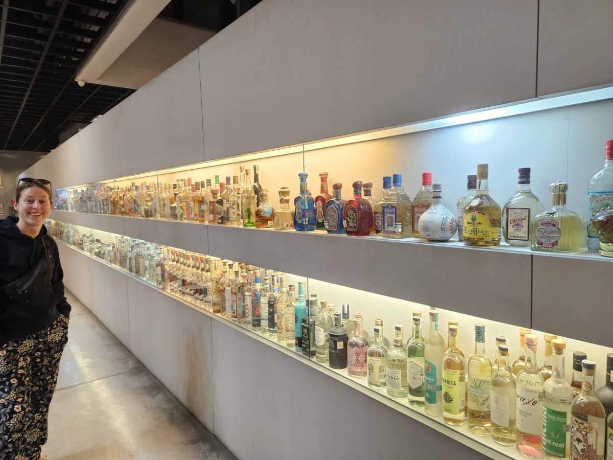 Muzeum tequily a mezcalu