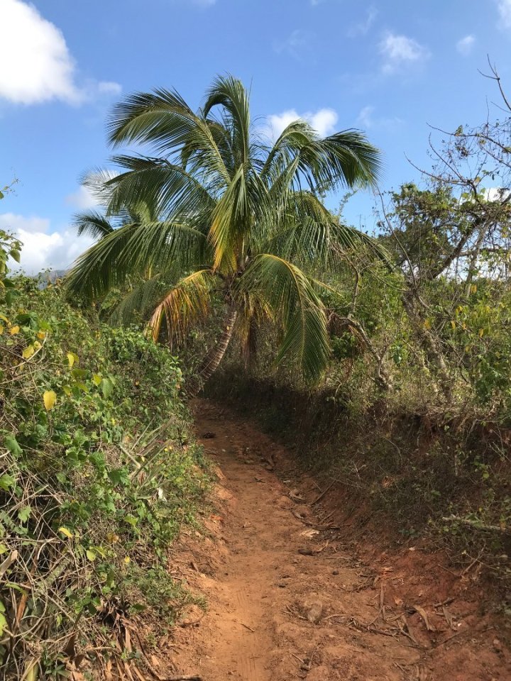 Vycházky tu nejsou vůbec náročné, všude je to po rovince. Možná vás tu občas překvapí obrovští voli, uvázaní v křoví a schovaní 