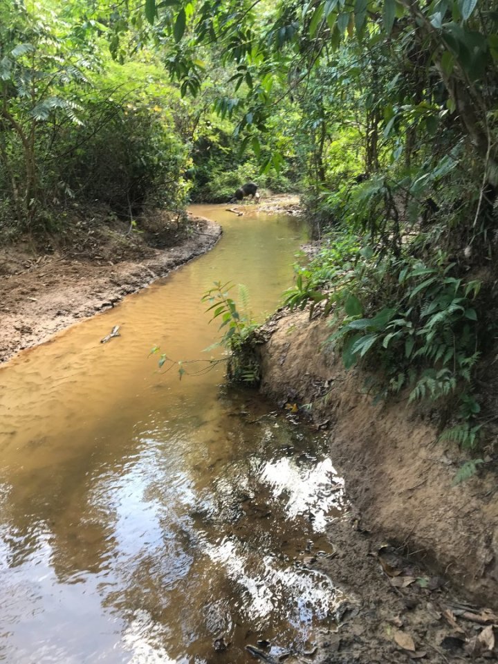 Offline mapy od Seznamu jsou na našich cestách naprostá nezbytnost. Takhle by asi mohl znít nějaký dobrý propagační slogan, snad