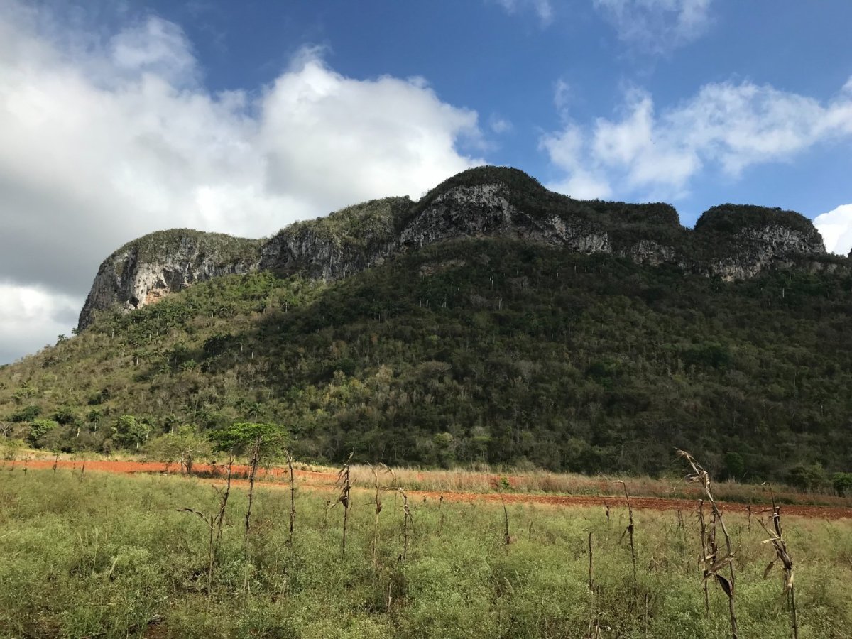 Poslední den přišla na řadu otázka: jak se vám vlastně líbila ta slavná zeď pomalovaná prehistorickými výjevy? Neměli jsme odvah