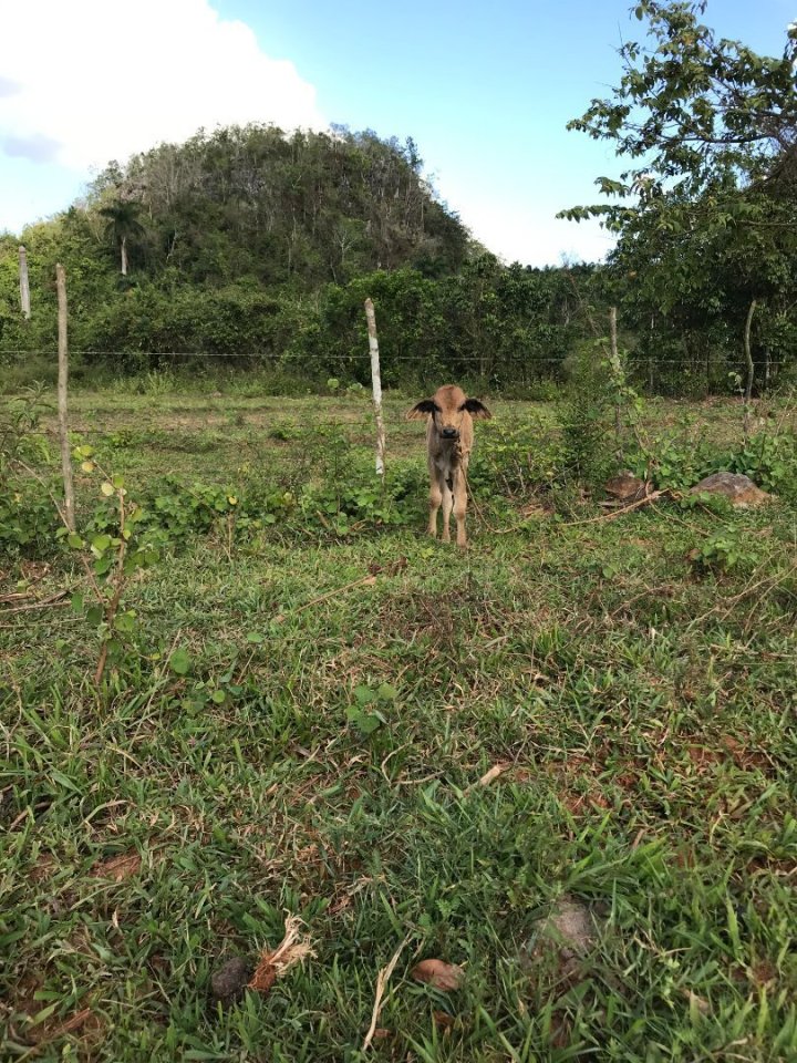 A tak se nám náš výlet přiblížil ke konci. Bylo to krásné, ale zároveň jsme se oba už zoufale těšili domů. A o to víc při předst