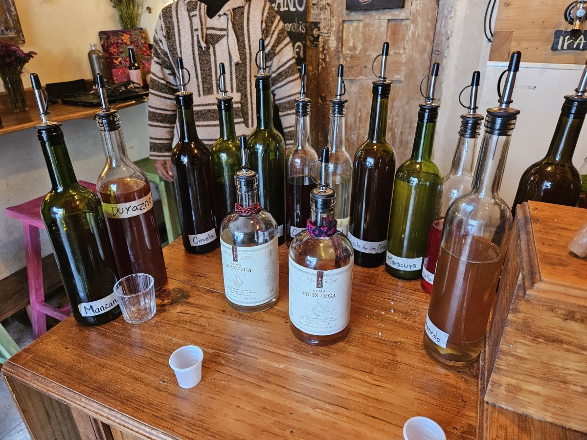 degustace pálenky Pox