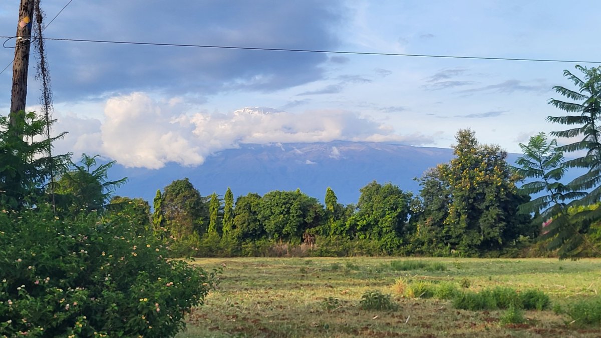 Kilimanjaro vykukuje