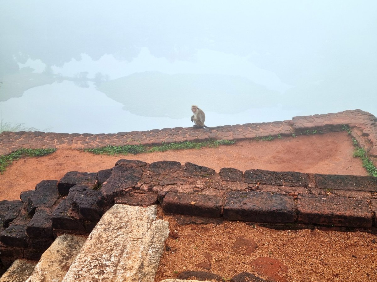 Nepovedený východ slunce na Lví skále