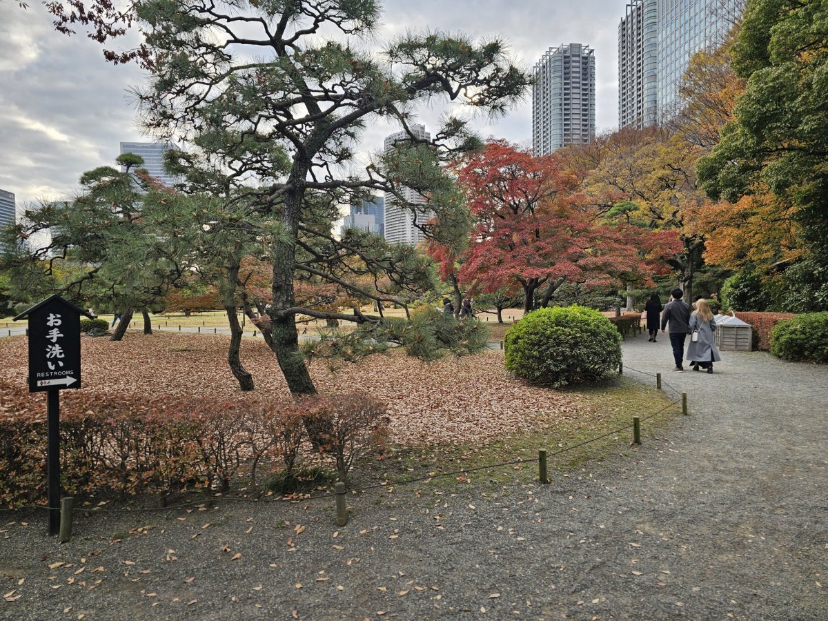 Hama-rikyu Gardens