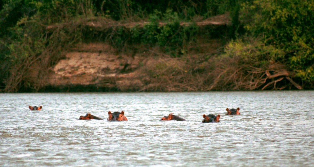 Tahle rodinka evidentně zbystřila naši lodičku, ale naštěstí je to nechalo chladnými.