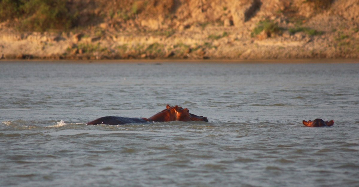 Ve skutečnosti jsou dva.