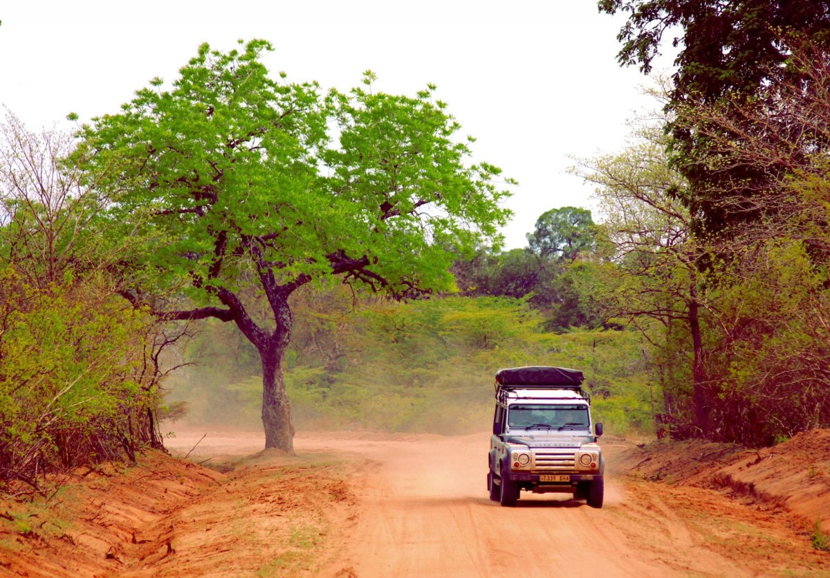 Podobných off-roadů jsme v rezervaci Selous potkali za den kolem deseti. V nejznámějších národních parcích to může být i stovka.