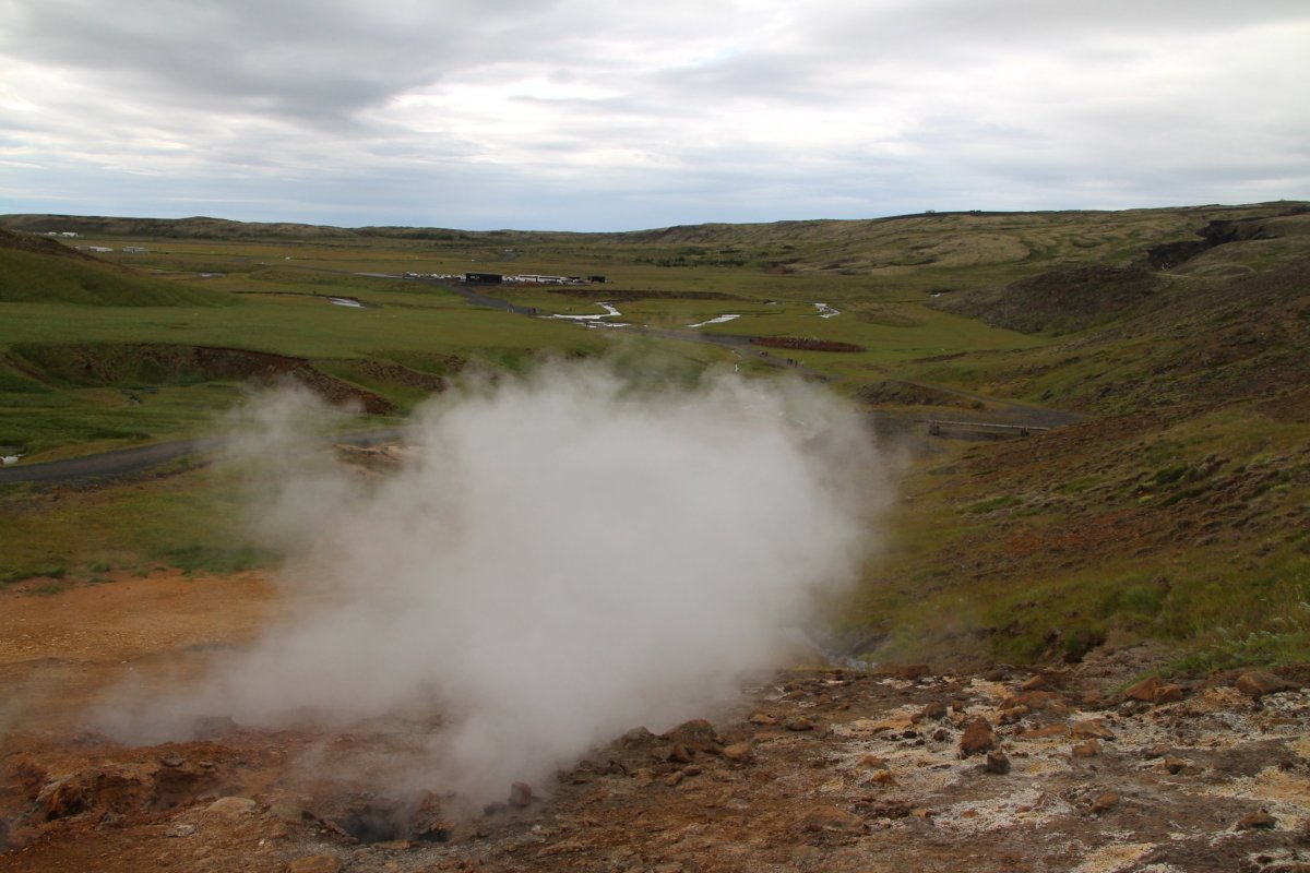 Síra je dost cítit.