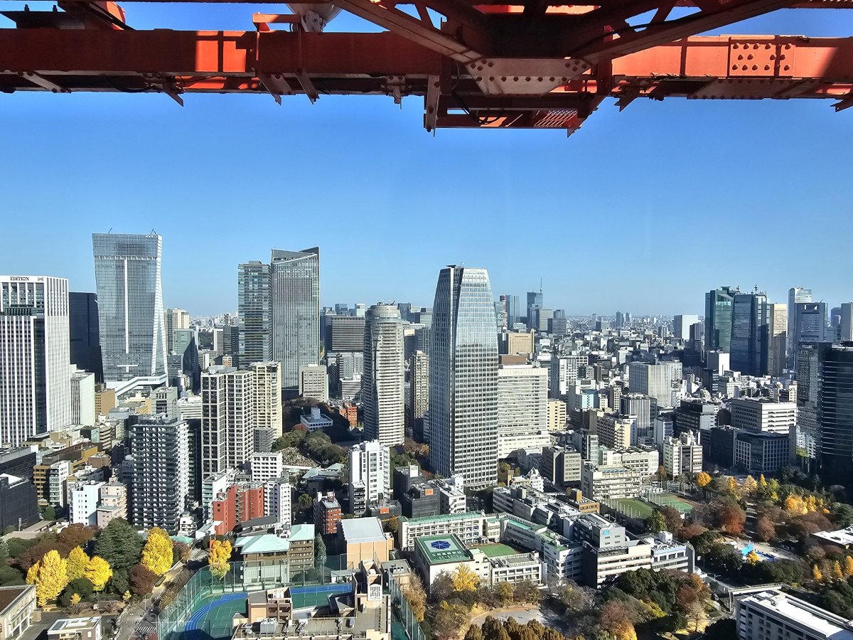 Výhled z nejvyššího patra