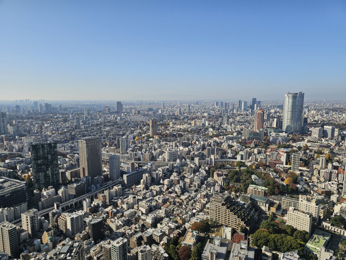 Výhled z nejvyššího patra