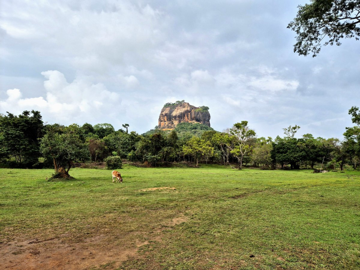 Výhledy na Lví skálu po cestě