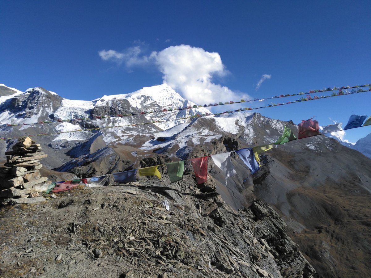 Hlavička uživatele