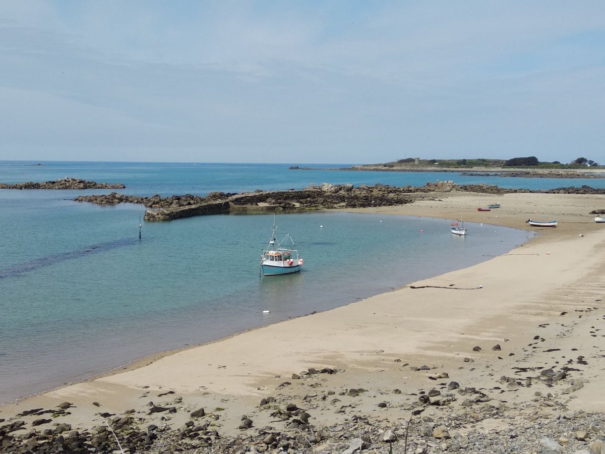 Hlavička uživatele