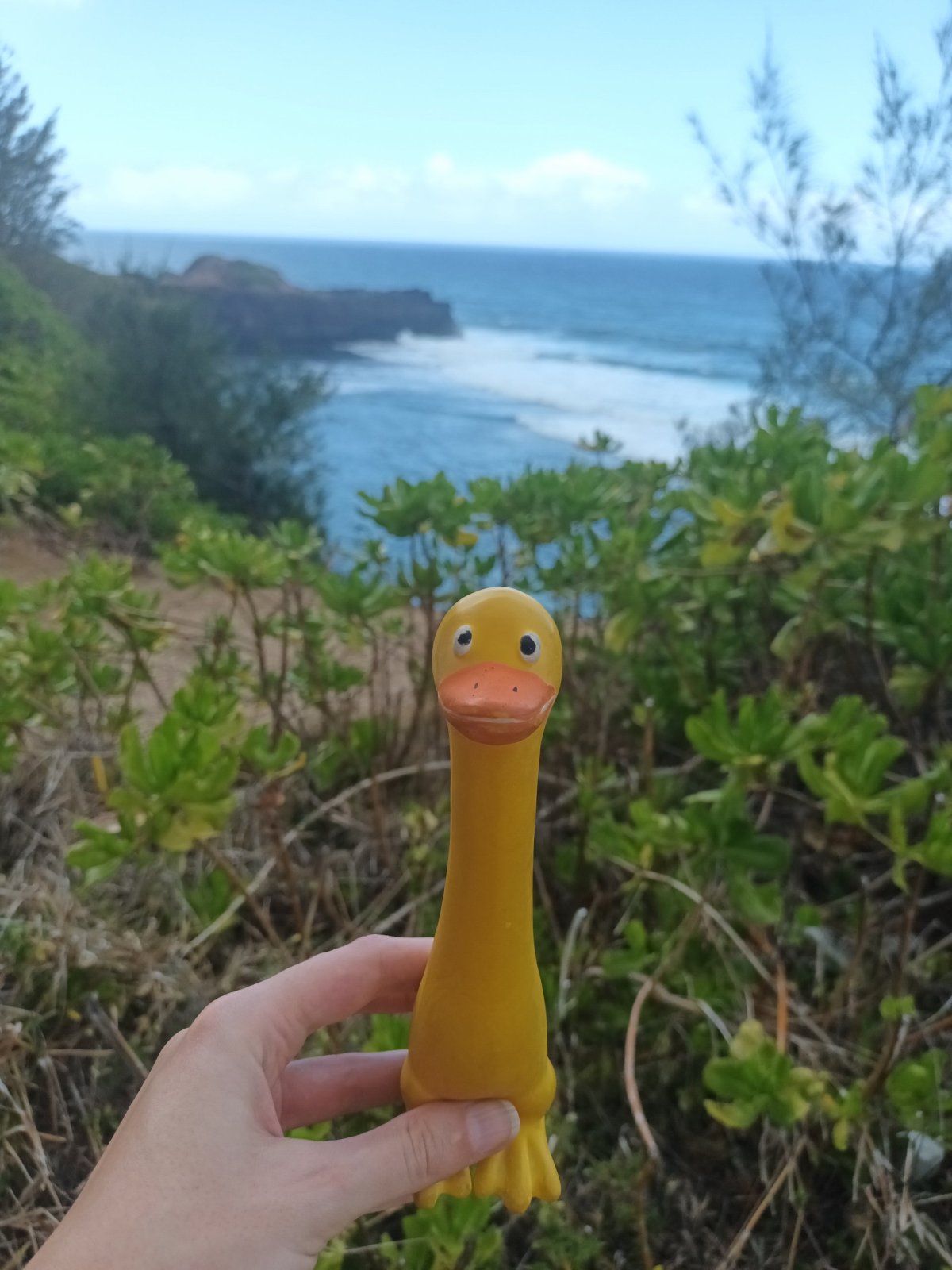 Divoké moře a ostré útesy u pláže Gris Gris