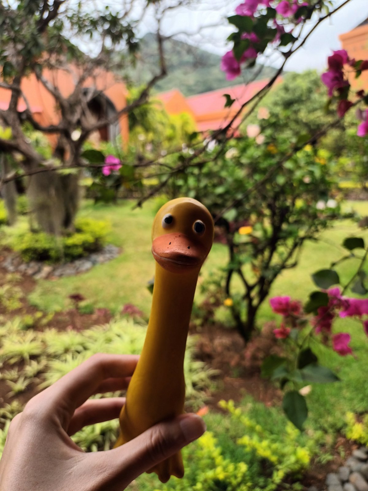 Kvetoucí voňavá zahrada