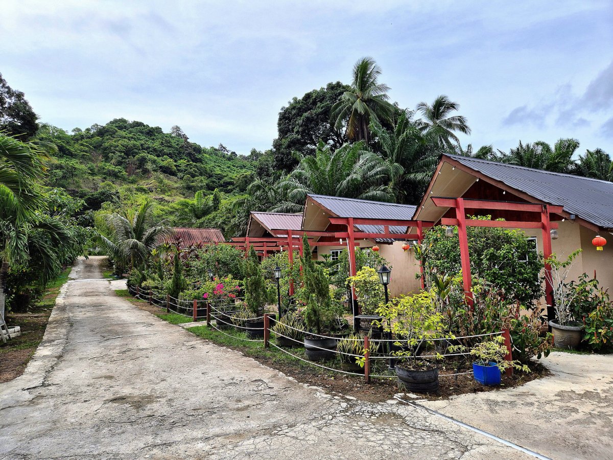 Timba Garden