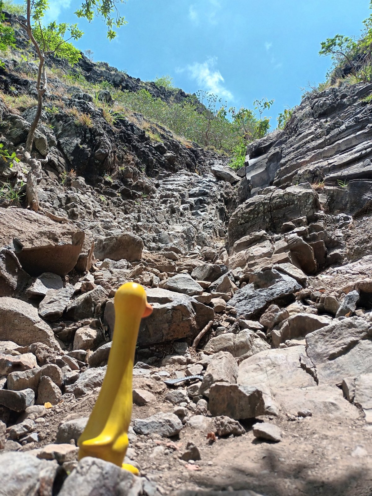 Jsem snad nějaká pleva?! Vzhůru do kopce!