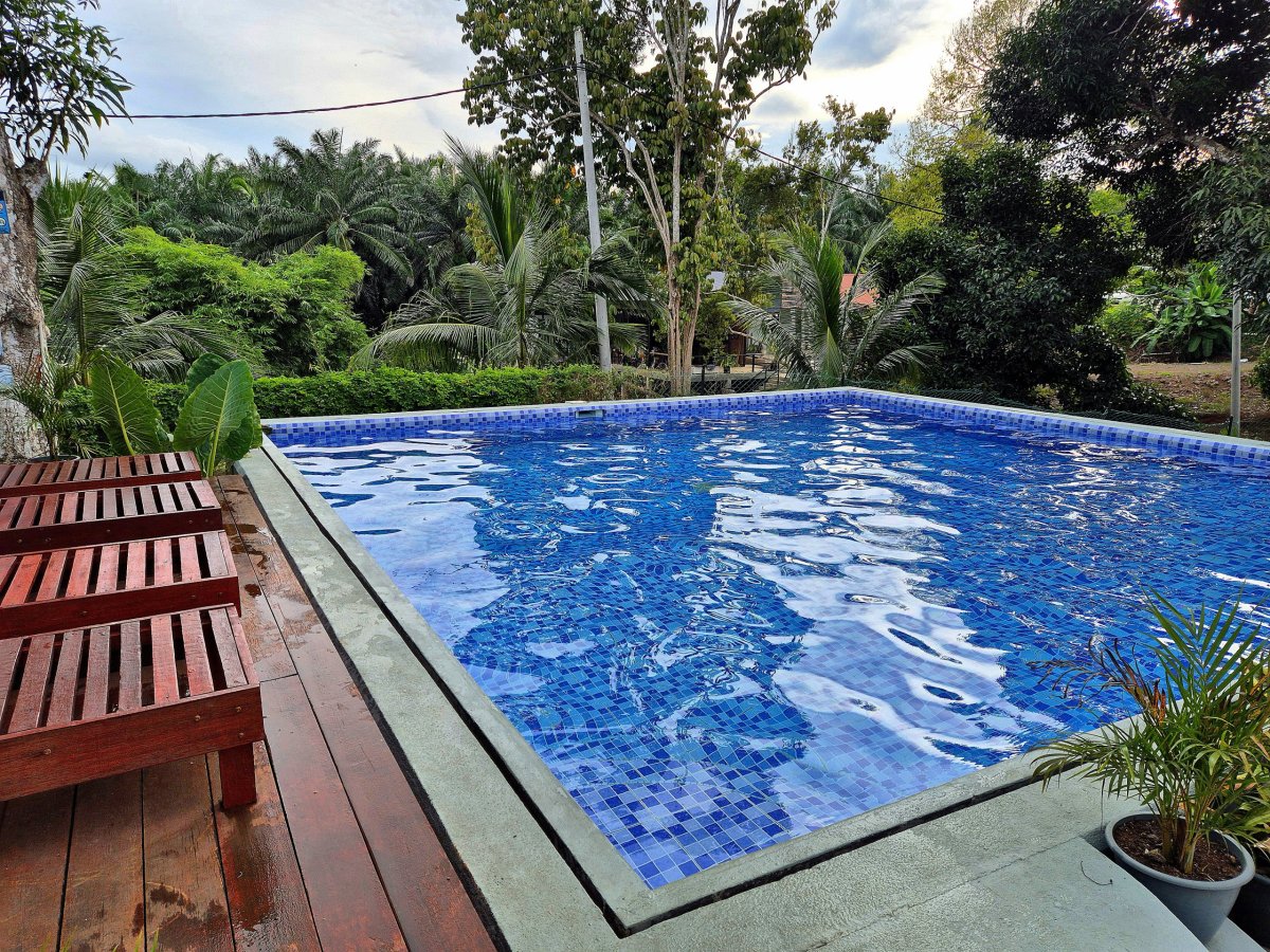 Timba Garden