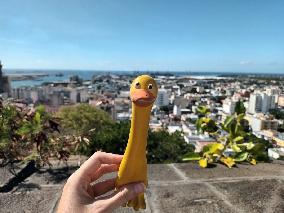 Výhled na přístav