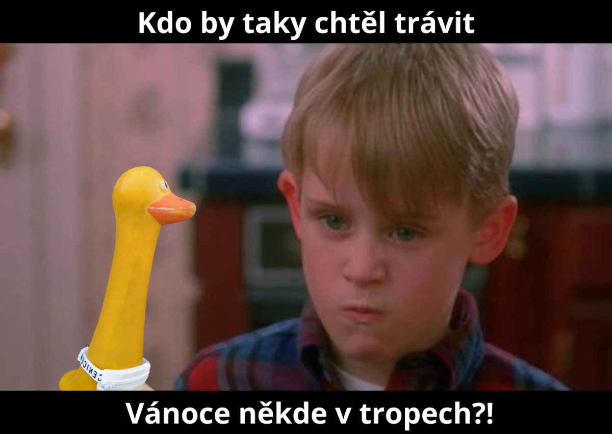 Vánoční klasika 🎄